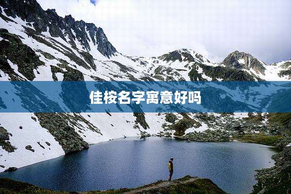 佳桉名字寓意好吗