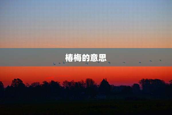 椿梅的意思