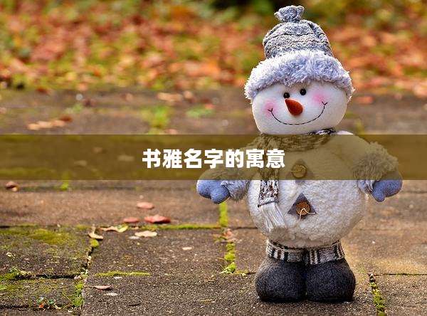书雅名字的寓意