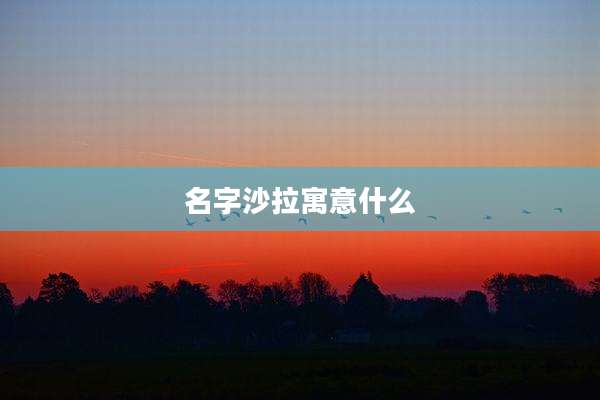 名字沙拉寓意什么