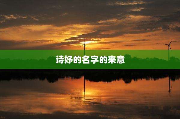 诗妤的名字的来意