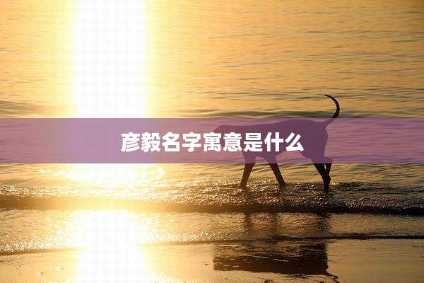 彦毅名字寓意是什么