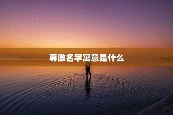 尊傲名字寓意是什么