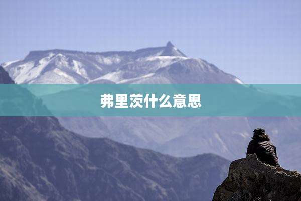 弗里茨什么意思