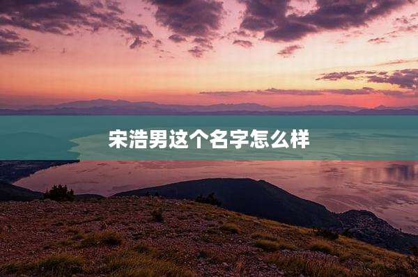 宋浩男这个名字怎么样