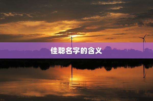 佳聪名字的含义