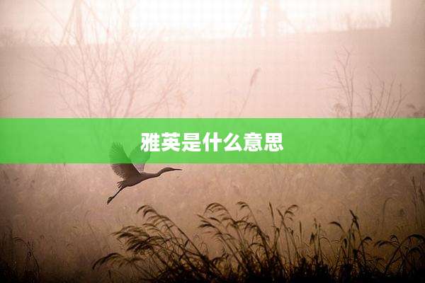 雅英是什么意思