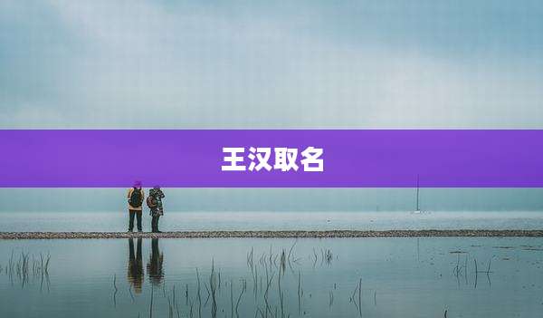 王汉取名