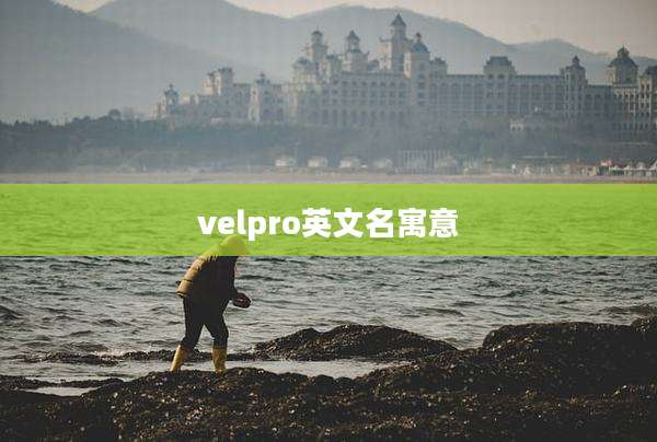 velpro英文名寓意