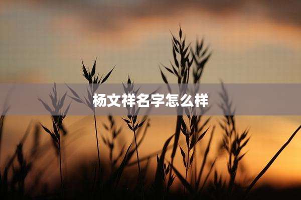 杨文祥名字怎么样