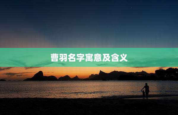 曹羽名字寓意及含义