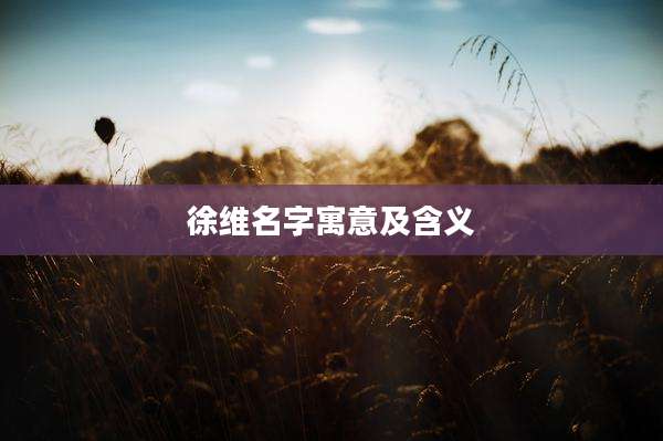 徐维名字寓意及含义