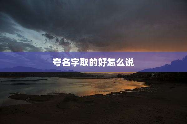 夸名字取的好怎么说