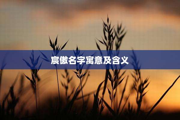 宸傲名字寓意及含义