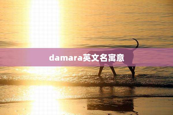 damara英文名寓意