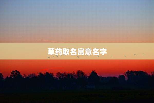 草药取名寓意名字