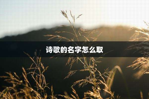 诗歌的名字怎么取
