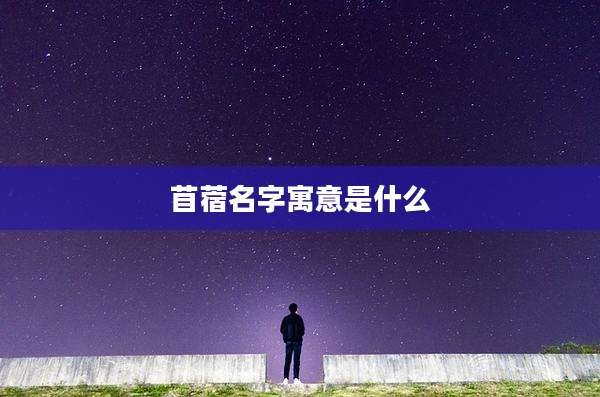 苜蓿名字寓意是什么