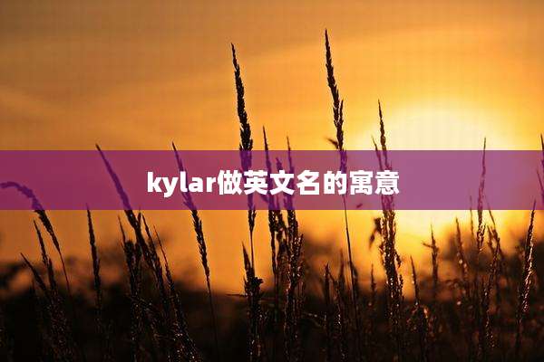 kylar做英文名的寓意