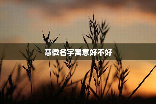 慧微名字寓意好不好