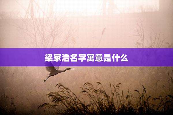 梁家浩名字寓意是什么