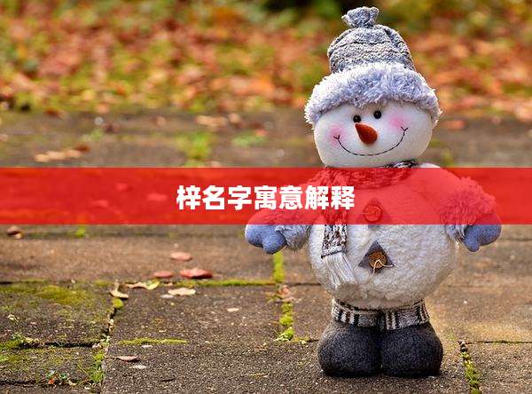 梓名字寓意解释