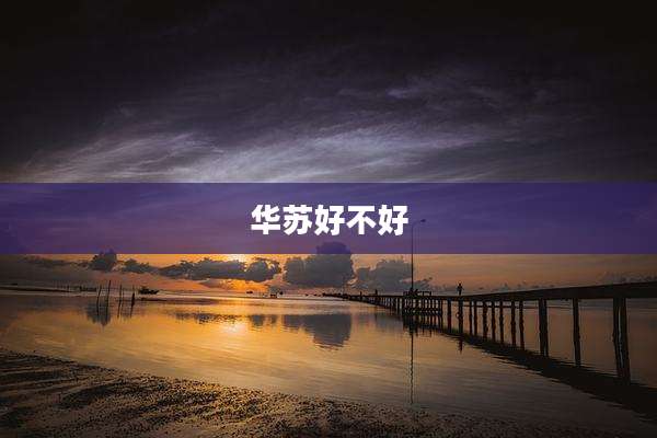 华苏好不好