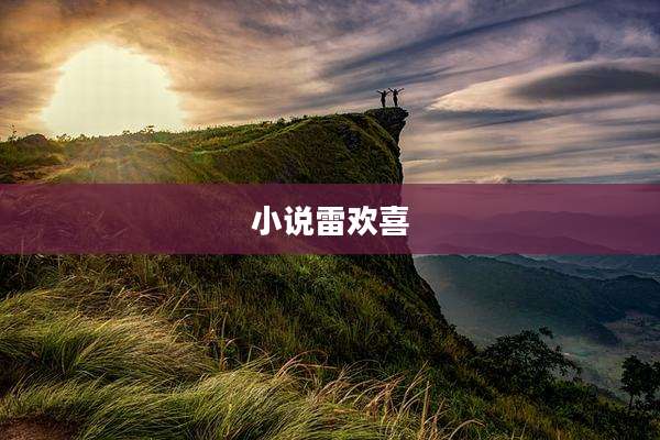 小说雷欢喜