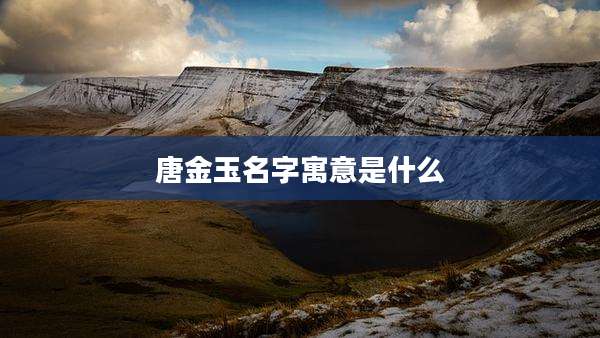 唐金玉名字寓意是什么