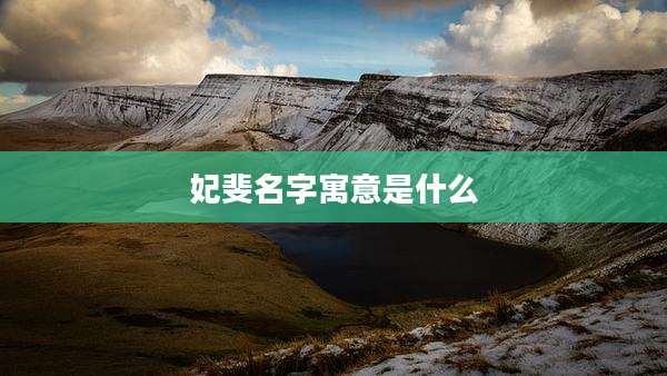 妃斐名字寓意是什么