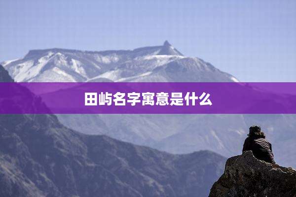 田屿名字寓意是什么