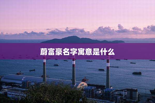 蔚富豪名字寓意是什么