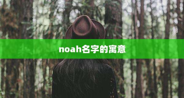 noah名字的寓意
