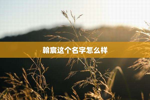 翰宸这个名字怎么样