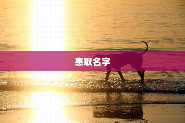 惠取名字
