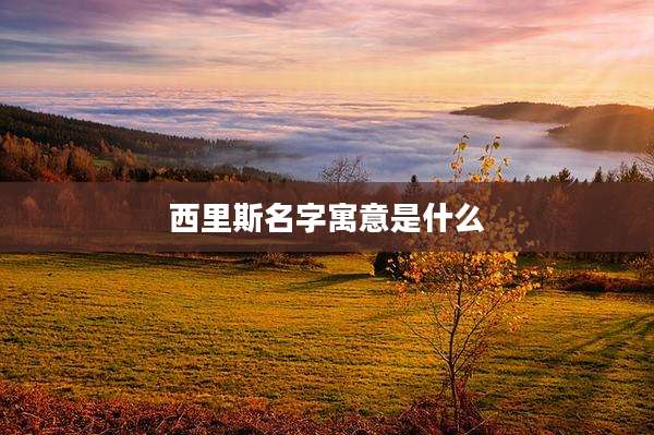 西里斯名字寓意是什么