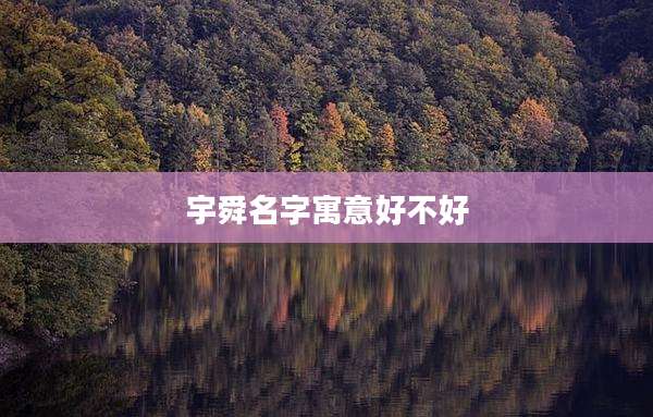 宇舜名字寓意好不好