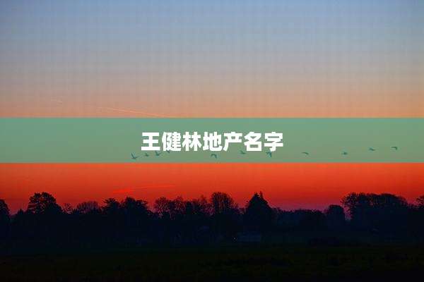 王健林地产名字