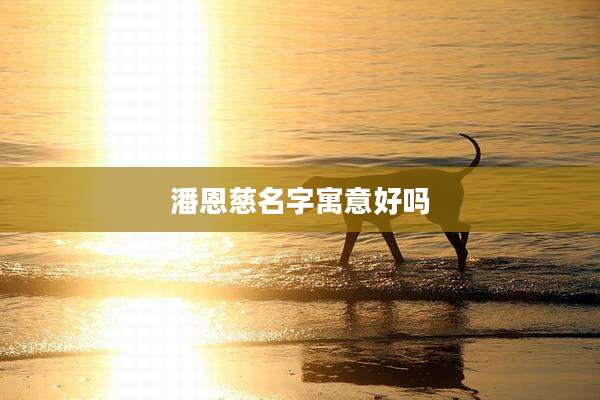 潘恩慈名字寓意好吗