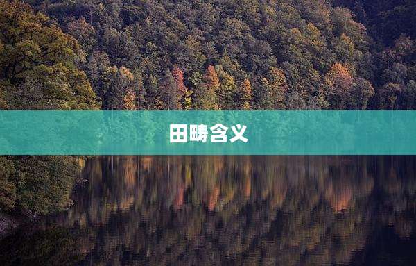 田畴含义