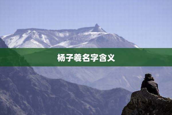 杨子羲名字含义