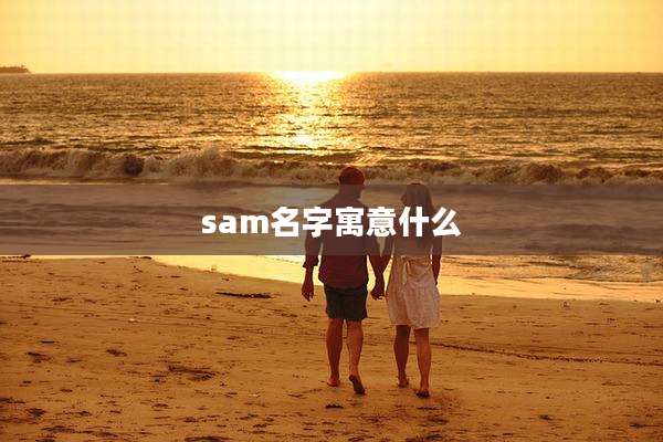 sam名字寓意什么