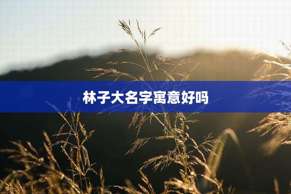 林子大名字寓意好吗