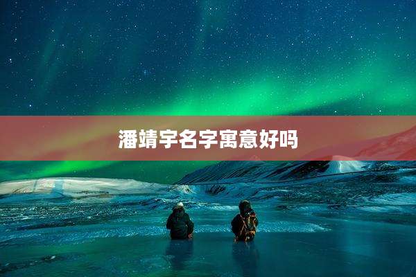 潘靖宇名字寓意好吗