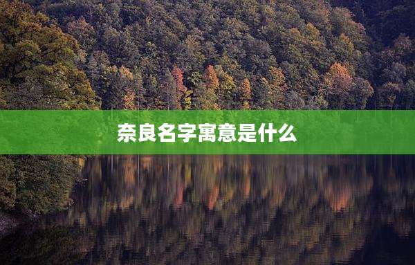 奈良名字寓意是什么