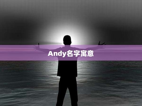 Andy名字寓意