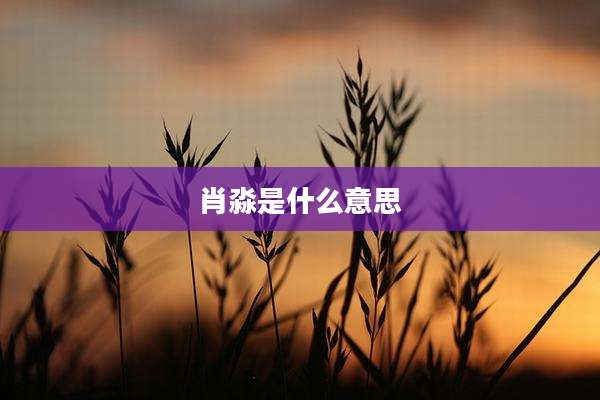 肖淼是什么意思