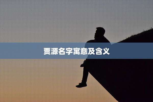 贾源名字寓意及含义