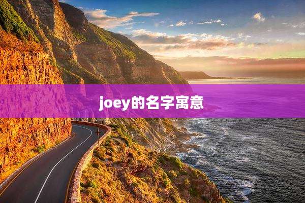 joey的名字寓意
