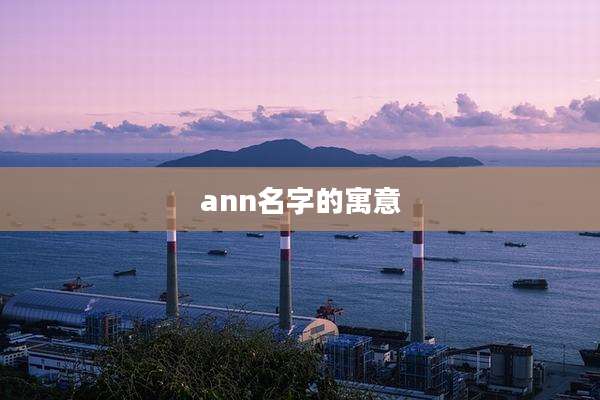 ann名字的寓意